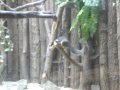 IMGP0863.JPG